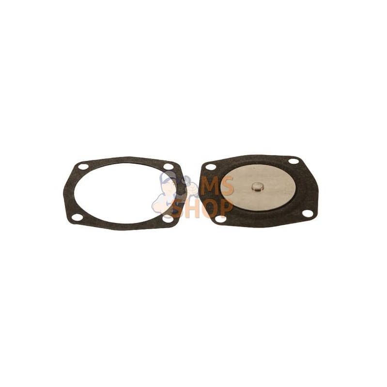 Membrane p/Tecumseh 23910004 | NON ORIGINAL Membrane p/Tecumseh 23910004 | NON ORIGINALPR#882994