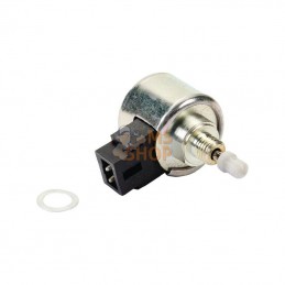841546; BRIGGS & STRATTON; Relais anti-pétaradage; pièce detachée