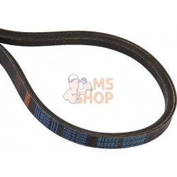 Courroie | MURRAY Courroie | MURRAYPR#918099