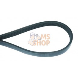 Courroie 6V RIBx890mm | MURRAY Courroie 6V RIBx890mm | MURRAYPR#222968