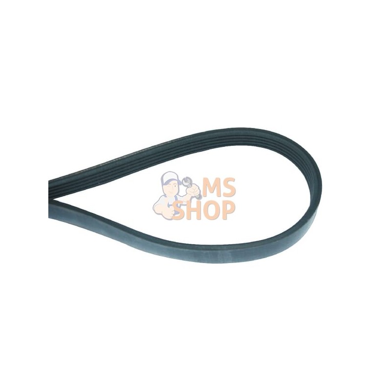 Courroie 6V RIBx890mm | MURRAY Courroie 6V RIBx890mm | MURRAYPR#222968