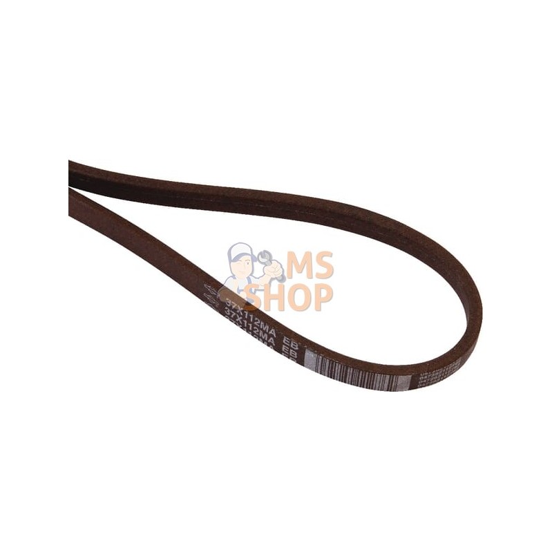 Courroie | MURRAY Courroie | MURRAYPR#223019