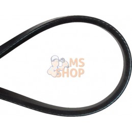 Courroie trapéz., simple | MURRAY Courroie trapéz., simple | MURRAYPR#903953