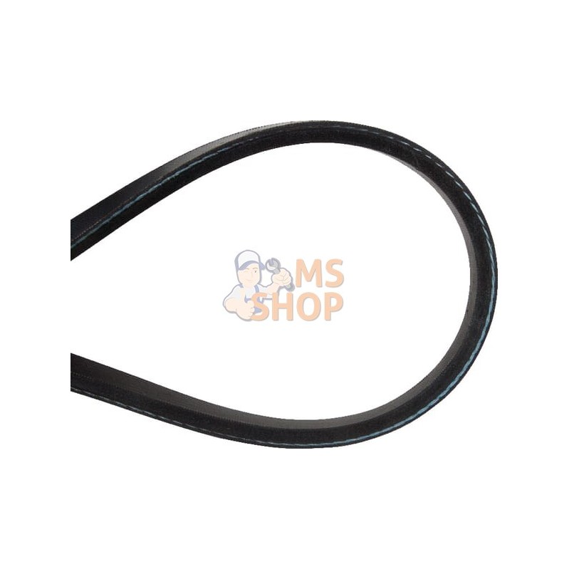 Courroie trapéz., simple | MURRAY Courroie trapéz., simple | MURRAYPR#903953 Courroie trapéz., simple | MURRAY Courroie trapéz., simple | MURRAYPR#903953