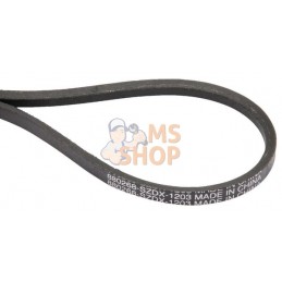 Courroie MxMH625 | MURRAY Courroie MxMH625 | MURRAYPR#903945