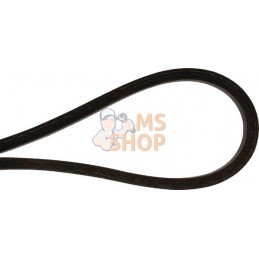 Courroie 53-33005-75 | MURRAY Courroie 53-33005-75 | MURRAYPR#918080