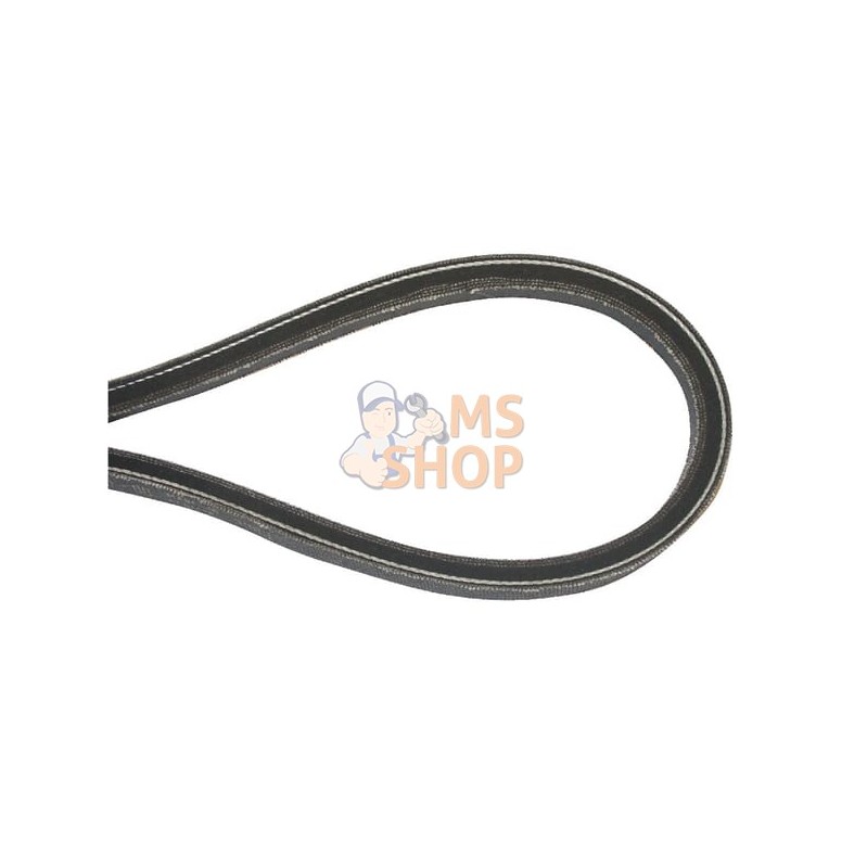 Courroie coupole | MURRAY Courroie coupole | MURRAYPR#918081 Courroie coupole | MURRAY Courroie coupole | MURRAYPR#918081