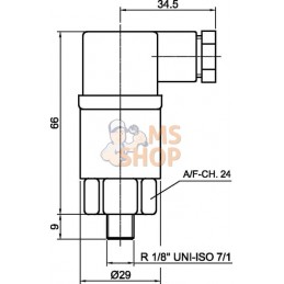 Indicateur électrique | MP FILTRI Indicateur électrique | MP FILTRIPR#860541