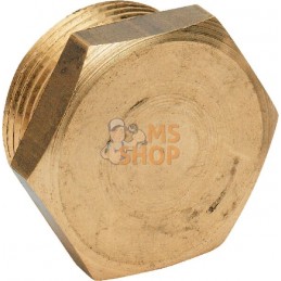 Bouchon en laiton M 1/2" | MZ Bouchon en laiton M 1/2" | MZPR#885188