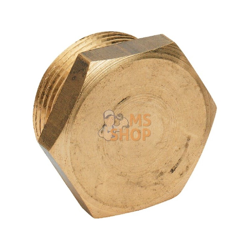 Bouchon en laiton M 1/2" | MZ Bouchon en laiton M 1/2" | MZPR#885188