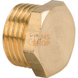 Bouchon en laiton M 1/2" | MZ Bouchon en laiton M 1/2" | MZPR#885189