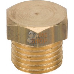 Bouchon en laiton M 1/4" | MZ Bouchon en laiton M 1/4" | MZPR#885191