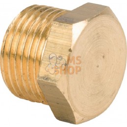 Bouchon en laiton M 3/8" | MZ Bouchon en laiton M 3/8" | MZPR#885208