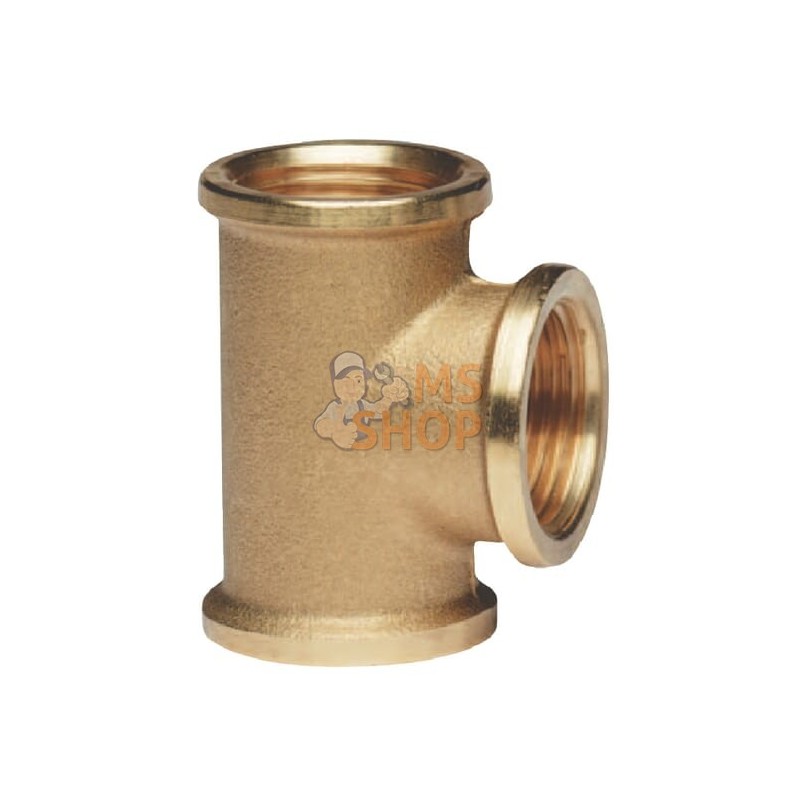 Té en laiton 3xF 1/4" | MZ Té en laiton 3xF 1/4" | MZPR#885156 Té en laiton 3xF 1/4" | MZ Té en laiton 3xF 1/4" | MZPR#885156