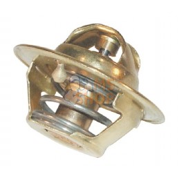 Thermostat | UNBRANDED Thermostat | UNBRANDEDPR#904103
