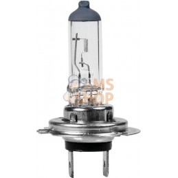 Ampoule 12V H7 | UNBRANDED Ampoule 12V H7 | UNBRANDEDPR#1072726