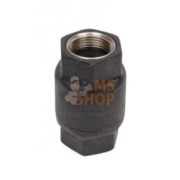 Clapet anti-ret 3/4" in/plast. | UNBRANDED Clapet anti-ret 3/4" in/plast. | UNBRANDEDPR#821683