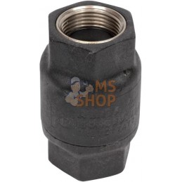 Clapet anti-ret 3/4" in/plast. | UNBRANDED Clapet anti-ret 3/4" in/plast. | UNBRANDEDPR#821683