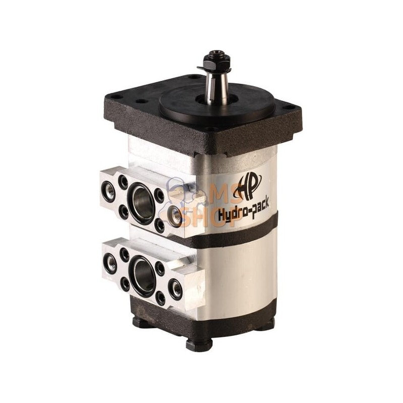 Pompe hydraulique 2 sections | UNBRANDED Pompe hydraulique 2 sections | UNBRANDEDPR#693568