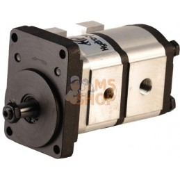 Pompe hydraulique 2 sections | UNBRANDED Pompe hydraulique 2 sections | UNBRANDEDPR#693568