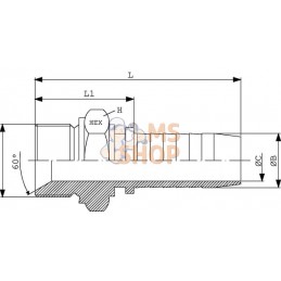 Raccord à sertir DN20-3/4-BSP inox | UNBRANDED Raccord à sertir DN20-3/4-BSP inox | UNBRANDEDPR#773547