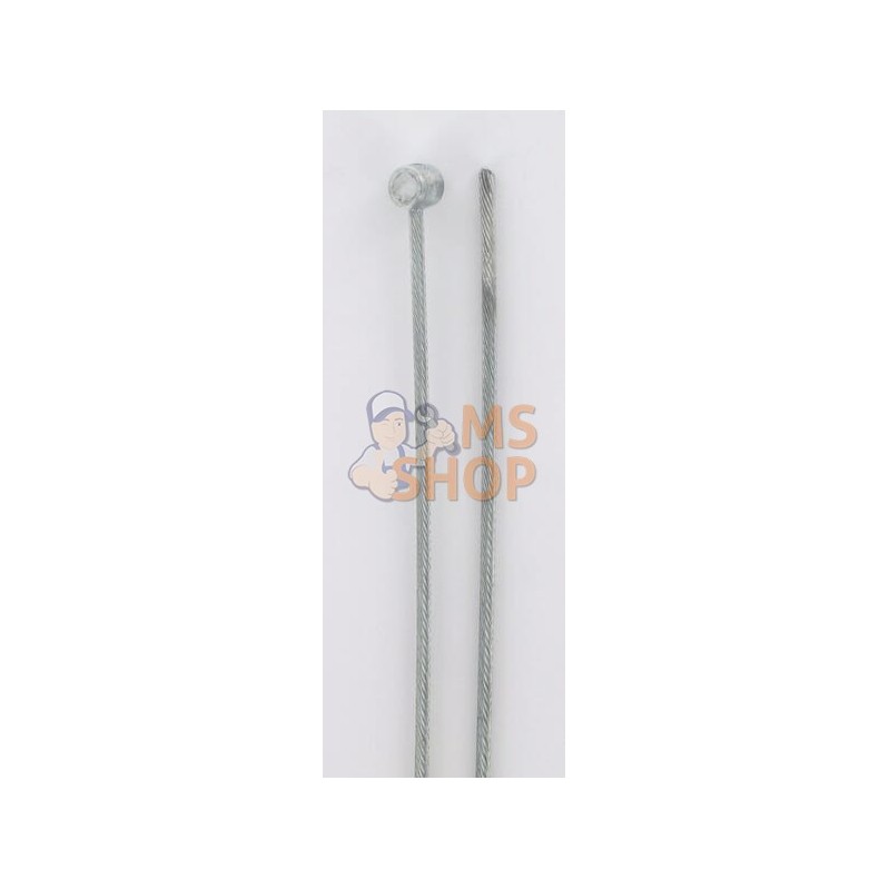 Câble intérieur 2,5mm-250cm | UNBRANDED Câble intérieur 2,5mm-250cm | UNBRANDEDPR#773370 Câble intérieur 2,5mm-250cm | UNBRANDED Câble intérieur 2,5mm-250cm | UNBRANDEDPR#773370