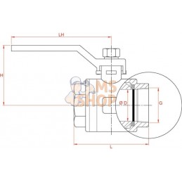Vanne à bille inox 2xF 1 1/4'' | UNBRANDED Vanne à bille inox 2xF 1 1/4'' | UNBRANDEDPR#633510