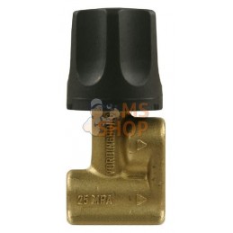 Vanne à aiguille double lance 1/4" | UNBRANDED Vanne à aiguille double lance 1/4" | UNBRANDEDPR#484938