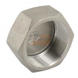 Chape hex. inox F 1/2" | UNBRANDED Chape hex. inox F 1/2" | UNBRANDEDPR#875747