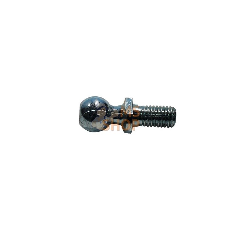 Rotule | UNBRANDED Rotule | UNBRANDEDPR#905147