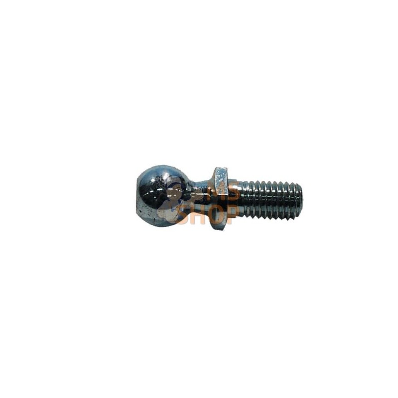 Rotule | UNBRANDED Rotule | UNBRANDEDPR#485405