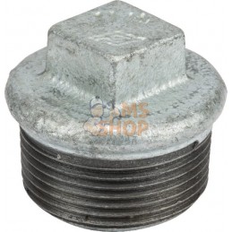 Bouchon zingué mâle 1 1/4" | UNBRANDED Bouchon zingué mâle 1 1/4" | UNBRANDEDPR#876048