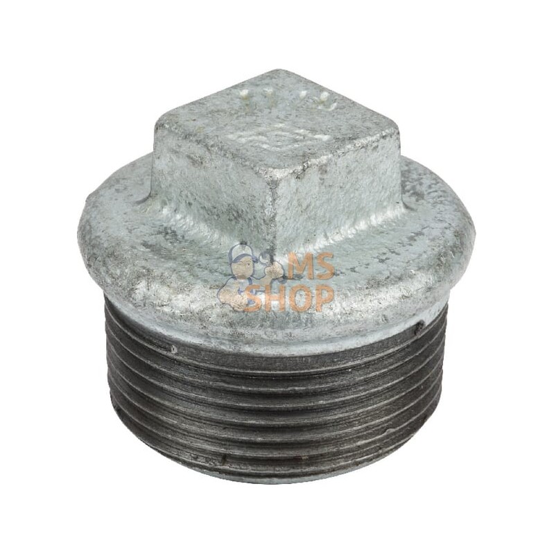 Bouchon zingué mâle 1 1/4" | UNBRANDED Bouchon zingué mâle 1 1/4" | UNBRANDEDPR#876048
