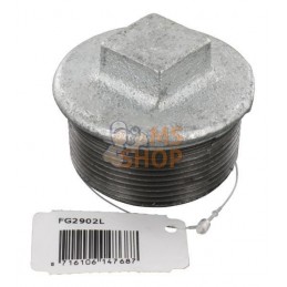 Bouchon zingué mâle 2" | UNBRANDED Bouchon zingué mâle 2" | UNBRANDEDPR#875471
