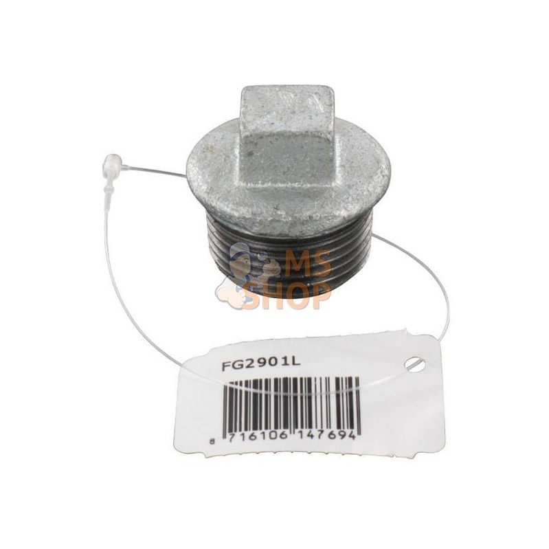 Bouchon zingué mâle 1" | UNBRANDED Bouchon zingué mâle 1" | UNBRANDEDPR#875221