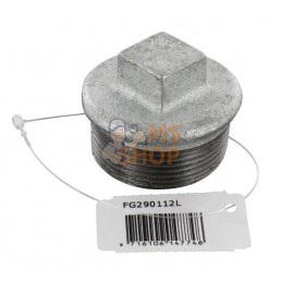 Bouchon zingué mâle 1 1/2" | UNBRANDED Bouchon zingué mâle 1 1/2" | UNBRANDEDPR#876066