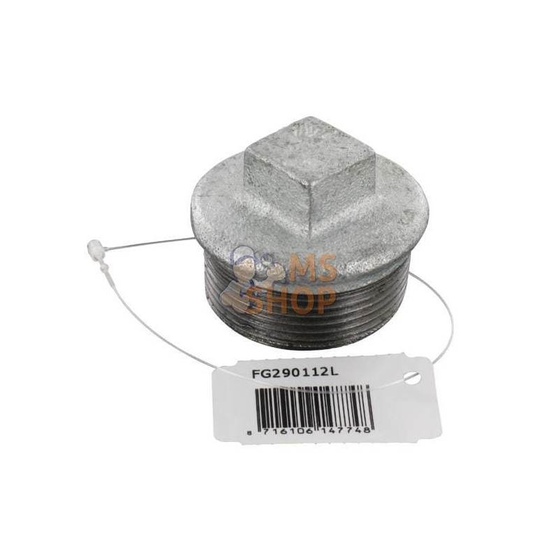 Bouchon zingué mâle 1 1/2" | UNBRANDED Bouchon zingué mâle 1 1/2" | UNBRANDEDPR#876066