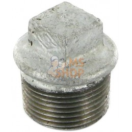 Bouchon zingué mâle 3/4" | UNBRANDED Bouchon zingué mâle 3/4" | UNBRANDEDPR#875744