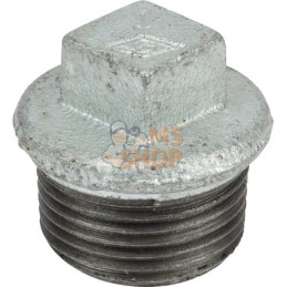 Bouchon zingué mâle 2 1/2" | UNBRANDED Bouchon zingué mâle 2 1/2" | UNBRANDEDPR#876029