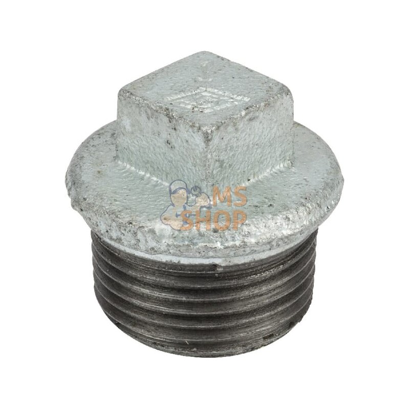 Bouchon zingué mâle 2 1/2" | UNBRANDED Bouchon zingué mâle 2 1/2" | UNBRANDEDPR#876029