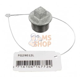 Bouchon zingué mâle 1/2" | UNBRANDED Bouchon zingué mâle 1/2" | UNBRANDEDPR#875708