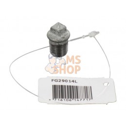 Bouchon zingué mâle 1/4" | UNBRANDED Bouchon zingué mâle 1/4" | UNBRANDEDPR#875611
