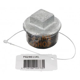 Bouchon zingué mâle 1 1/4" | UNBRANDED Bouchon zingué mâle 1 1/4" | UNBRANDEDPR#876030