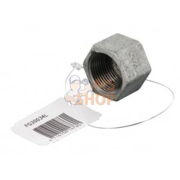Bouchon hexagon zingué 3/4" | UNBRANDED Bouchon hexagon zingué 3/4" | UNBRANDEDPR#875751