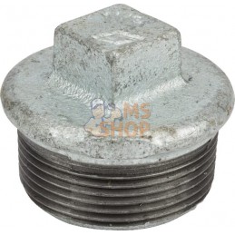 Bouchon zingué mâle 1 1/2" | UNBRANDED Bouchon zingué mâle 1 1/2" | UNBRANDEDPR#876070