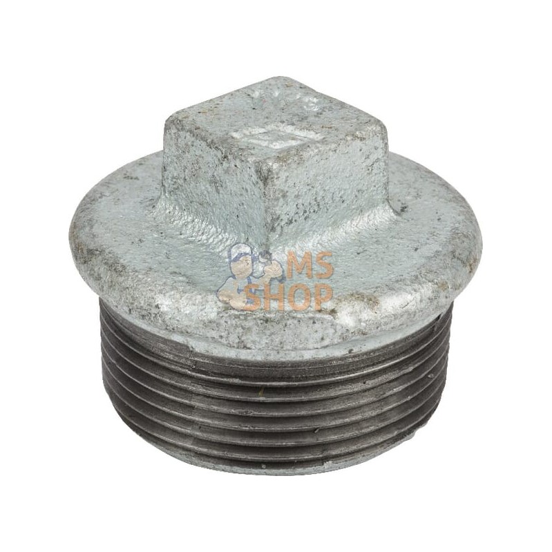 Bouchon zingué mâle 1 1/2" | UNBRANDED Bouchon zingué mâle 1 1/2" | UNBRANDEDPR#876070