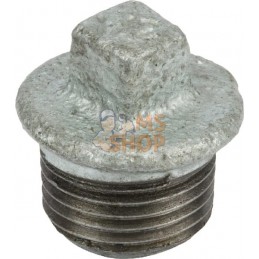Bouchon zingué mâle 1/2" | UNBRANDED Bouchon zingué mâle 1/2" | UNBRANDEDPR#875740
