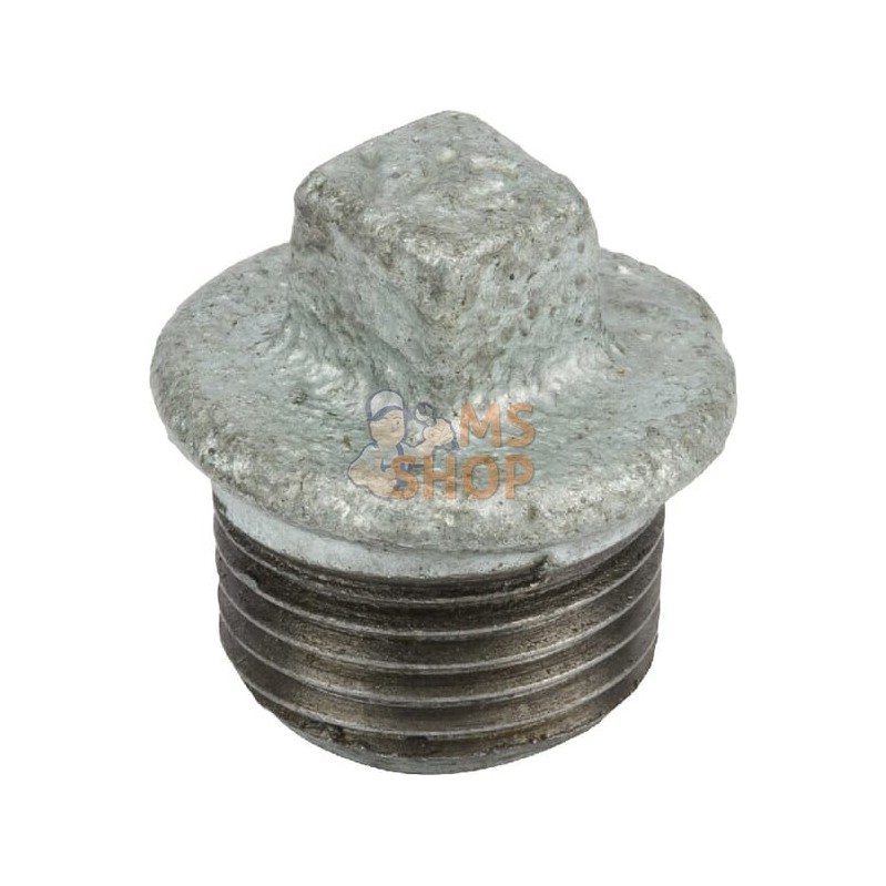 Bouchon zingué mâle 1/2" | UNBRANDED Bouchon zingué mâle 1/2" | UNBRANDEDPR#875740