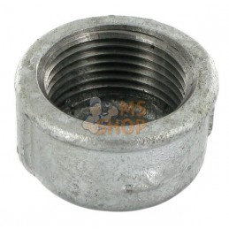 Bouchon ronde zingué fem. 1" | UNBRANDED Bouchon ronde zingué fem. 1" | UNBRANDEDPR#875544