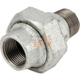 Raccord zingué F/M 3/4" | UNBRANDED Raccord zingué F/M 3/4" | UNBRANDEDPR#875838